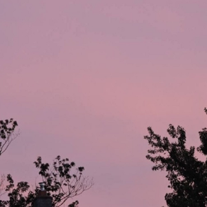 欧美色综合天天久久综合精品
